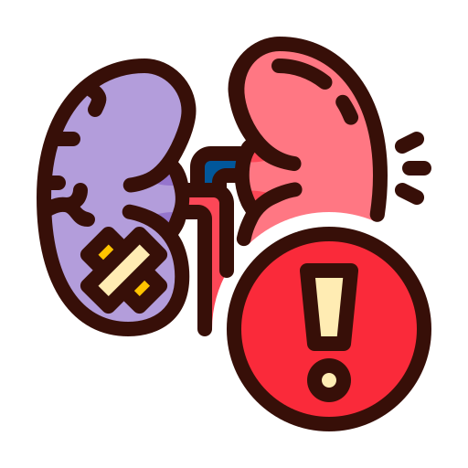Kidney Stone
